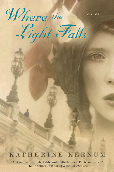 Cover image for book Where the Light Falls
