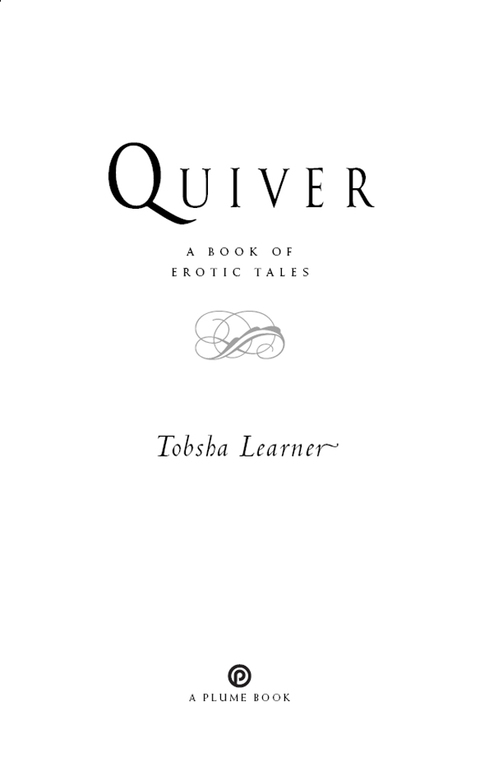 Cover image for book Quiver