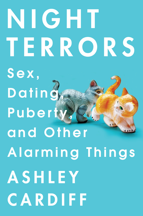 Cover image for book Night Terrors