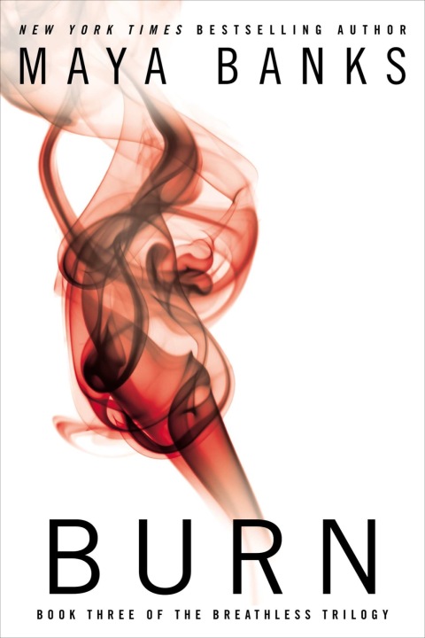 Cover image for book Burn