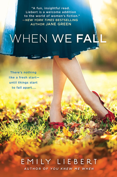 Cover image for book When We Fall