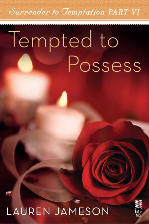 Cover image for book Surrender to Temptation Part VI