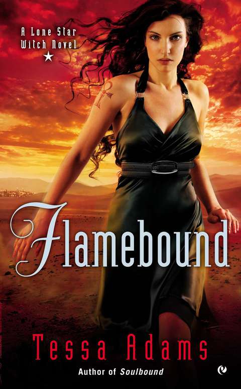 Cover image for book Flamebound
