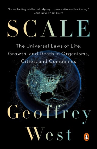 Scale