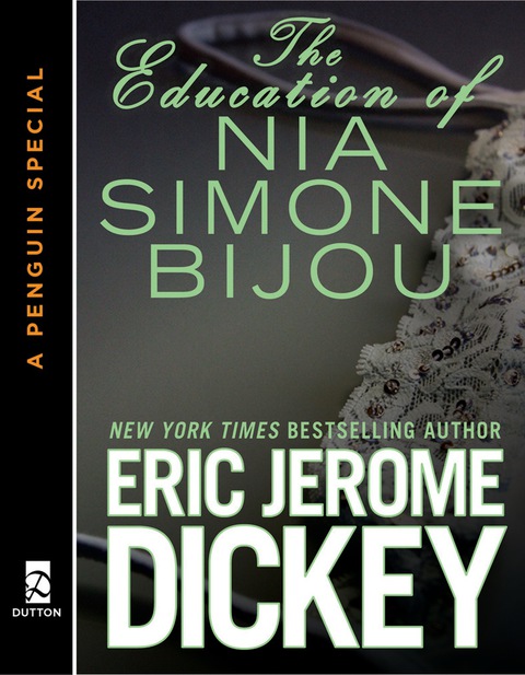 Cover image for book The Education of Nia Simone Bijou