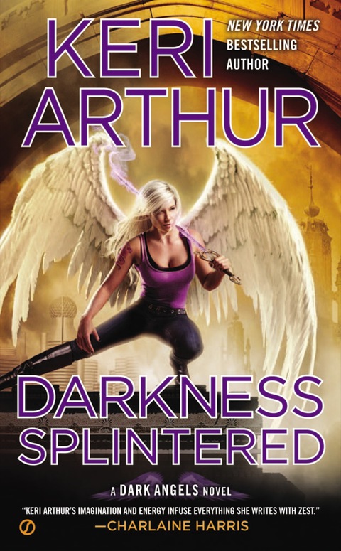 Cover image for book Darkness Splintered