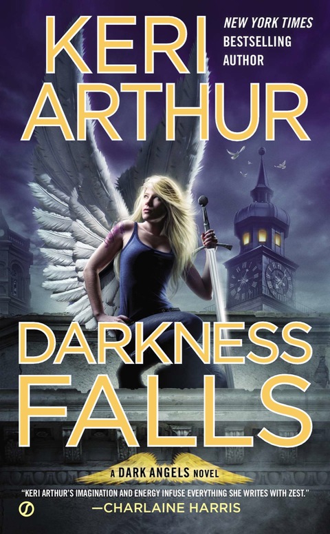 Cover image for book Darkness Falls