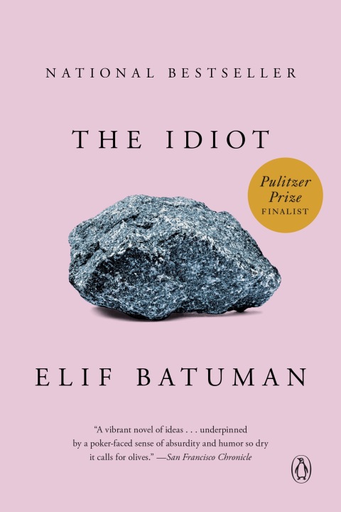 Cover image for book The Idiot
