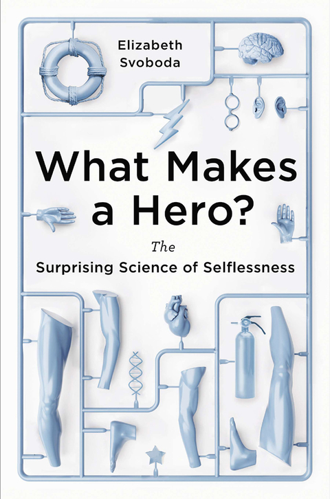 Cover image for book What Makes a Hero?