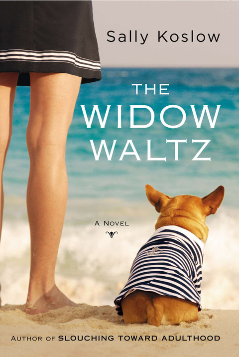 Cover image for book The Widow Waltz