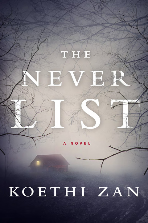 Cover image for book The Never List