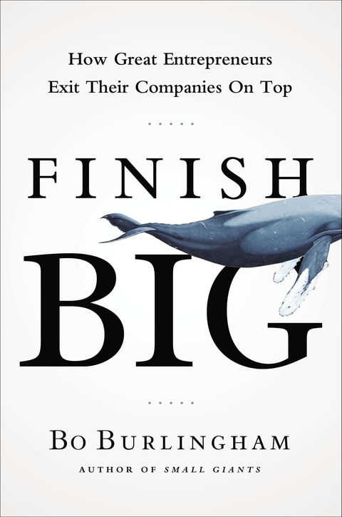 Cover image for book Finish Big