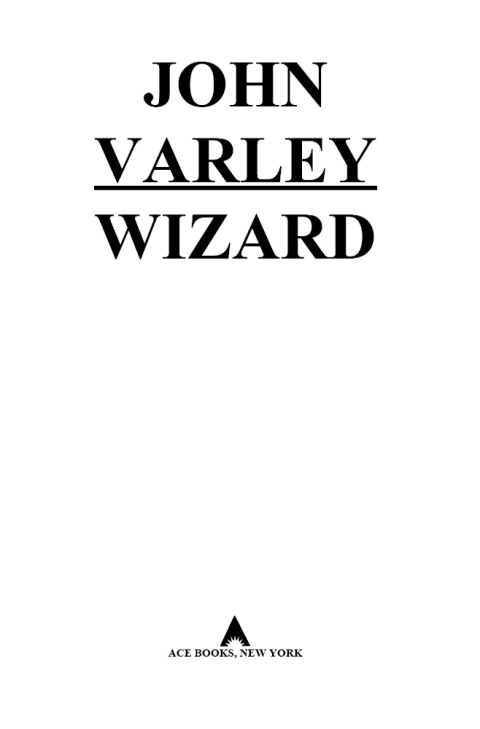 Cover image for book Wizard