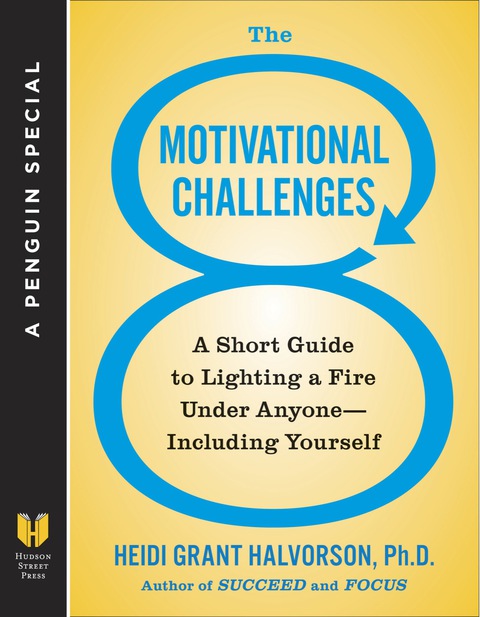 Cover image for book The 8 Motivational Challenges