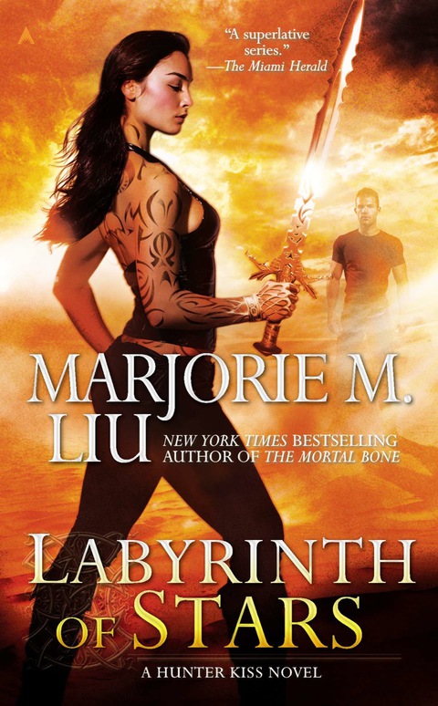Cover image for book Labyrinth of Stars