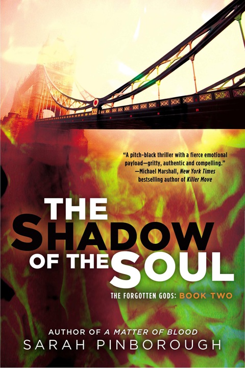 Cover image for book The Shadow of the Soul