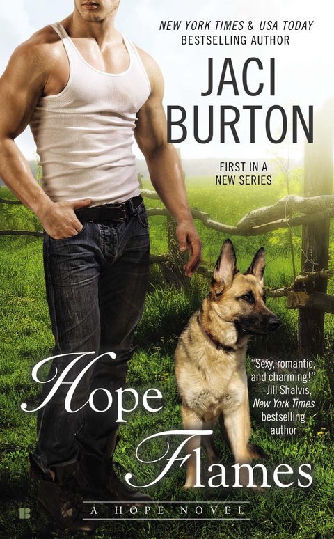 Cover image for book Hope Flames