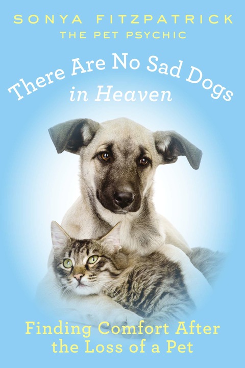 Cover image for book There Are No Sad Dogs in Heaven
