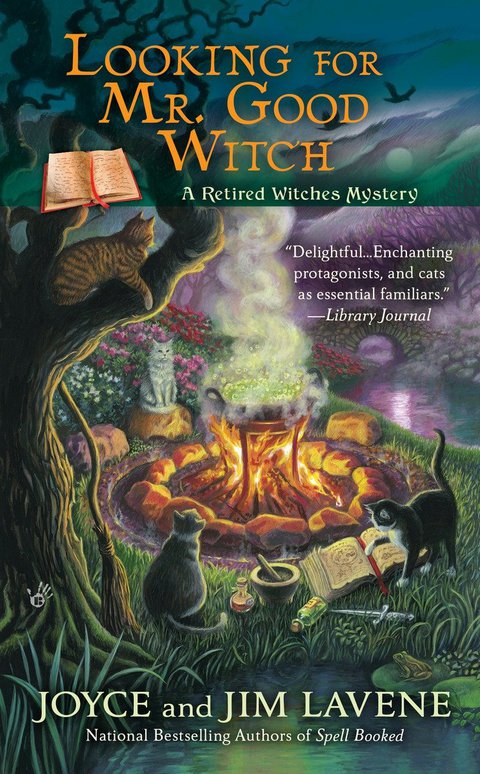 Cover image for book Looking for Mr. Good Witch