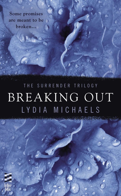 Cover image for book Breaking Out