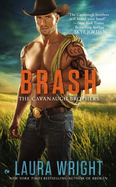 Cover image for book Brash
