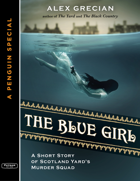 Cover image for book The Blue Girl