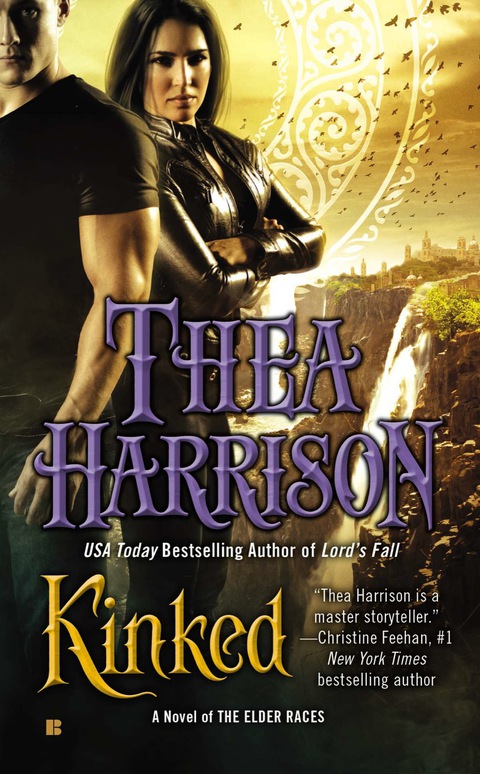 Cover image for book Kinked