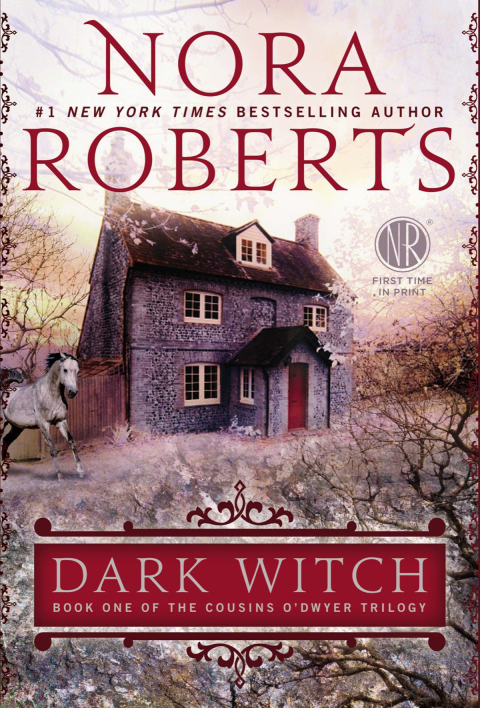 Cover image for book Dark Witch