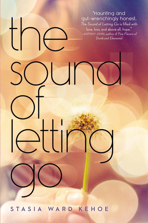 Cover image for book The Sound of Letting Go