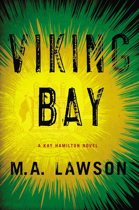 Cover image for book Viking Bay