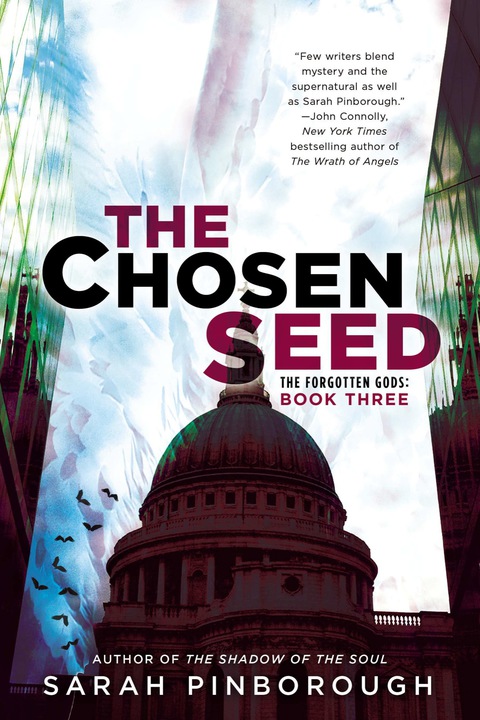 Cover image for book The Chosen Seed
