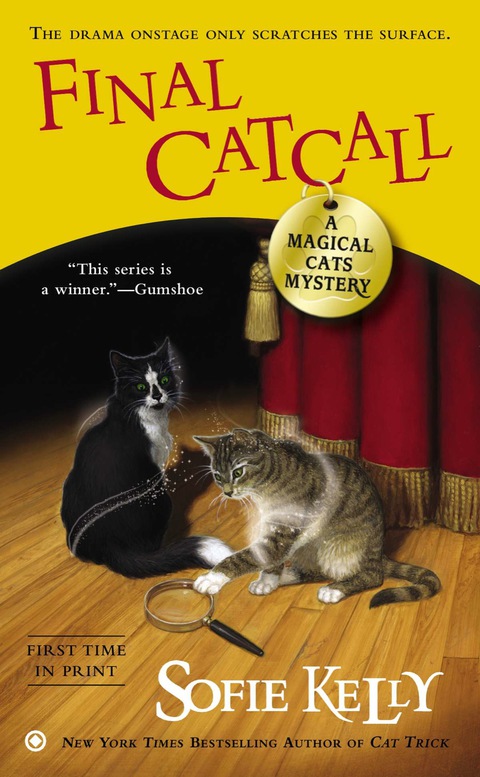 Cover image for book Final Catcall