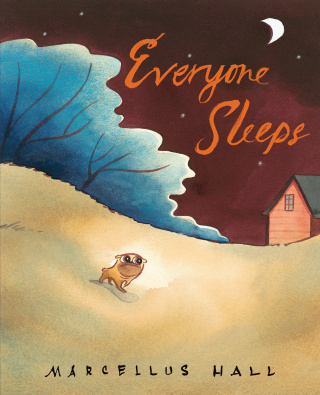 Everyone Sleeps