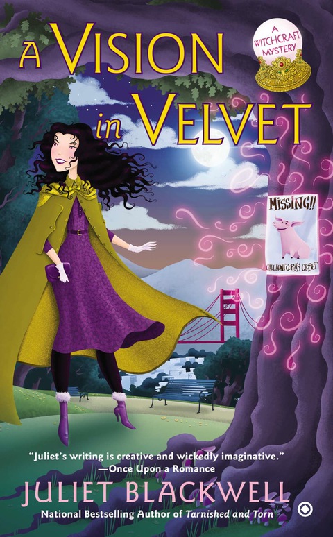 Cover image for book A Vision in Velvet