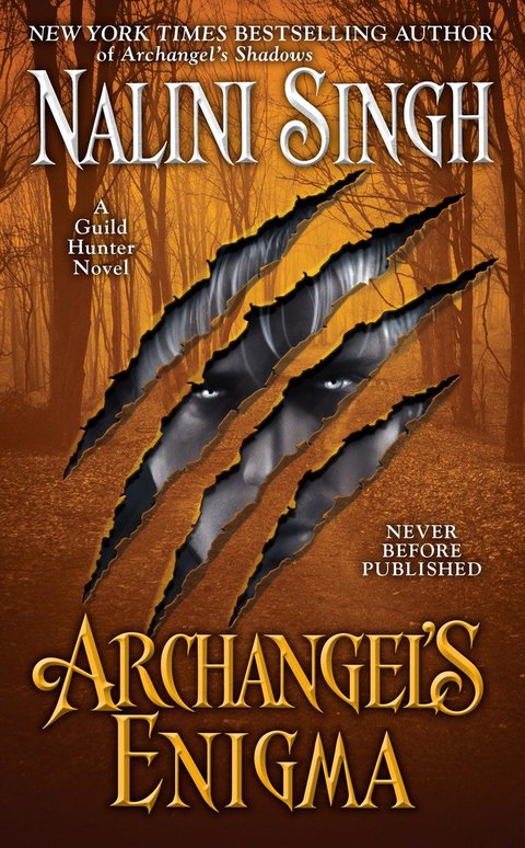 Cover image for book Archangel's Enigma