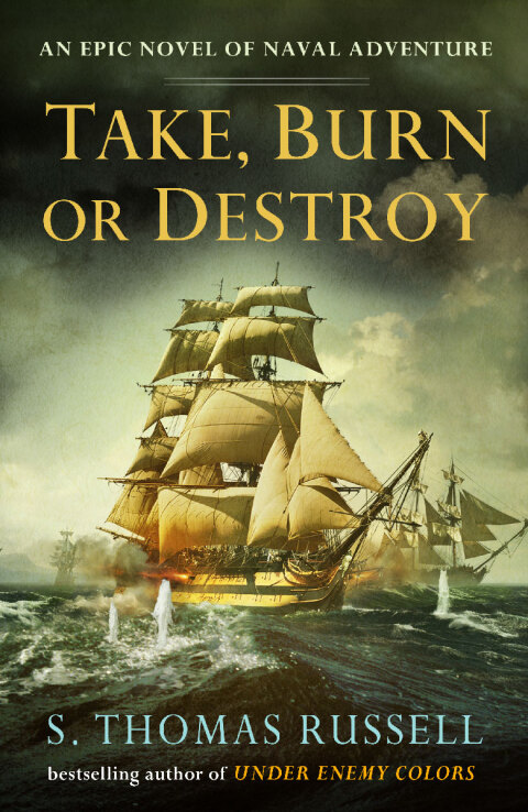 Cover image for book Take, Burn or Destroy