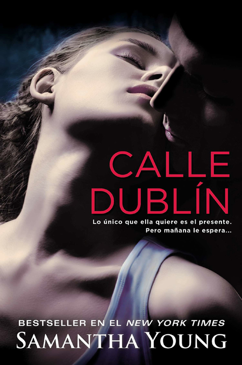 Cover image for book Calle Dublín