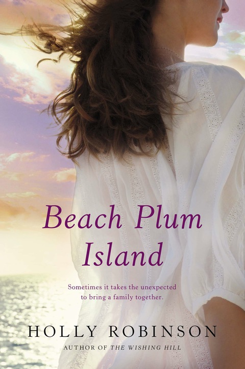 Cover image for book Beach Plum Island
