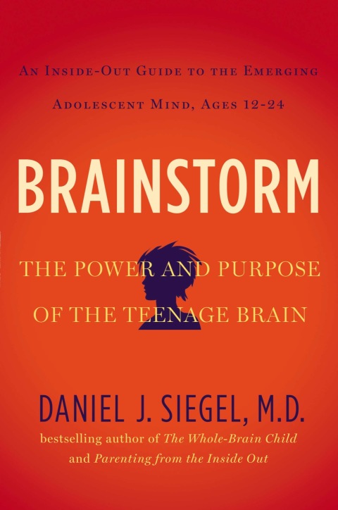 Cover image for book Brainstorm
