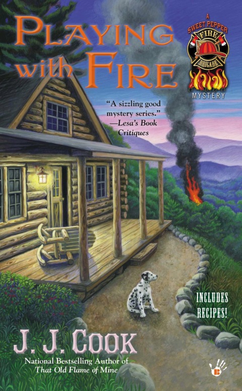 Cover image for book Playing with Fire