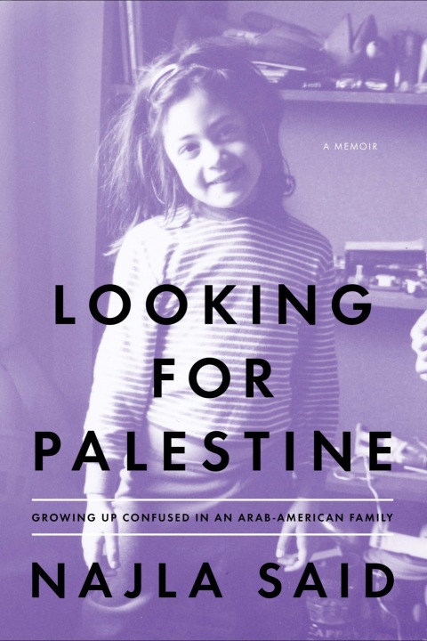 Cover image for book Looking for Palestine