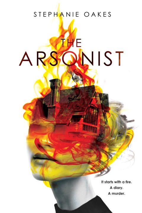 Cover image for book The Arsonist