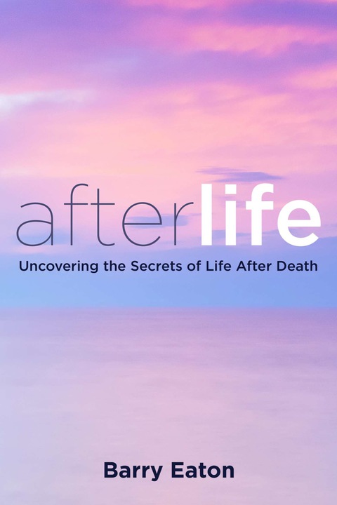 Cover image for book Afterlife