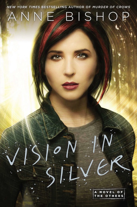 Cover image for book Vision In Silver