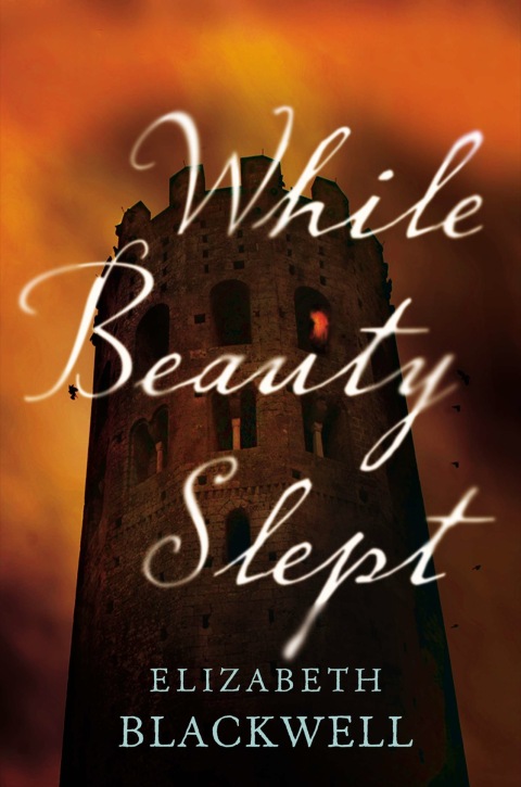 Cover image for book While Beauty Slept