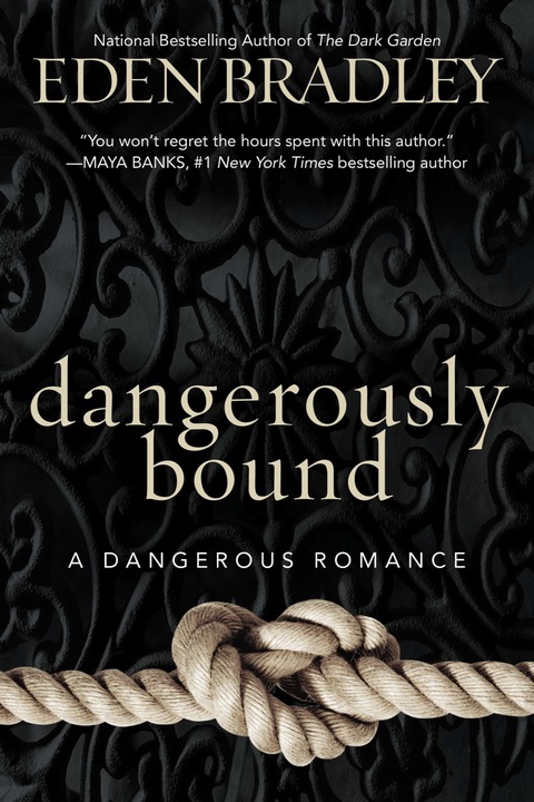 Cover image for book Dangerously Bound