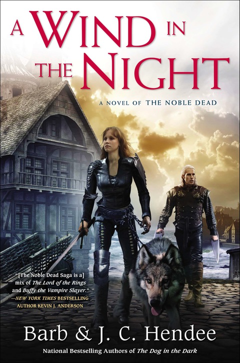 Cover image for book A Wind in the Night