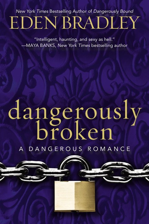 Cover image for book Dangerously Broken