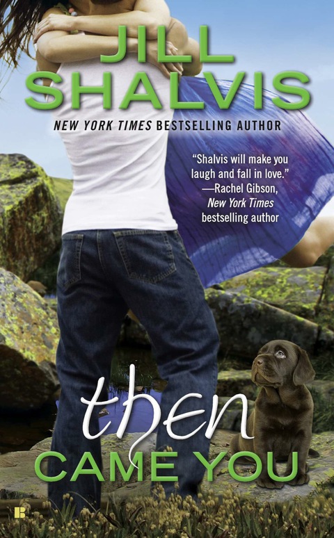 Cover image for book Then Came You