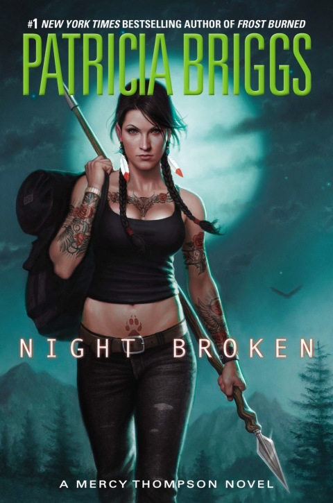 Cover image for book Night Broken